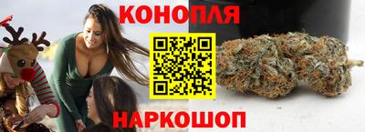 трава Бийск