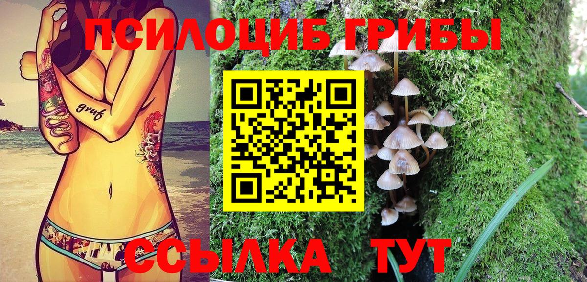 Псилоцибиновые грибы прущие грибы  Вход с VPN  Кировск 