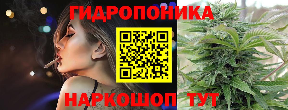 Шишки марихуана AK-47  Вход с VPN  Бошки марихуана Amnesia  Кировск 
